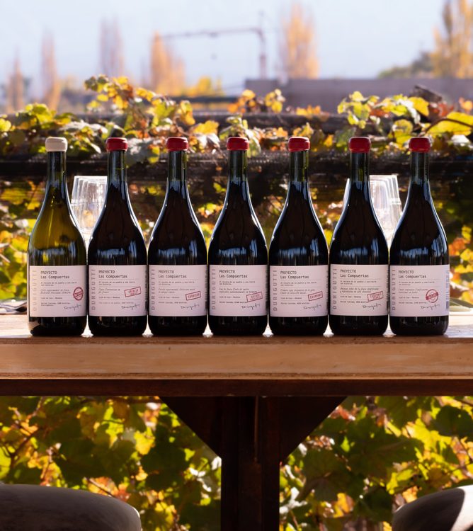 vinos-de-finca-durigutti-family-winemakers