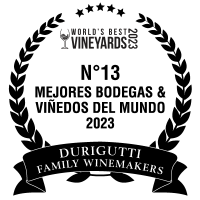 cucarda_best-vineyard-2023-bn