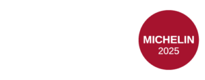 logo_5suelos_michelin_web