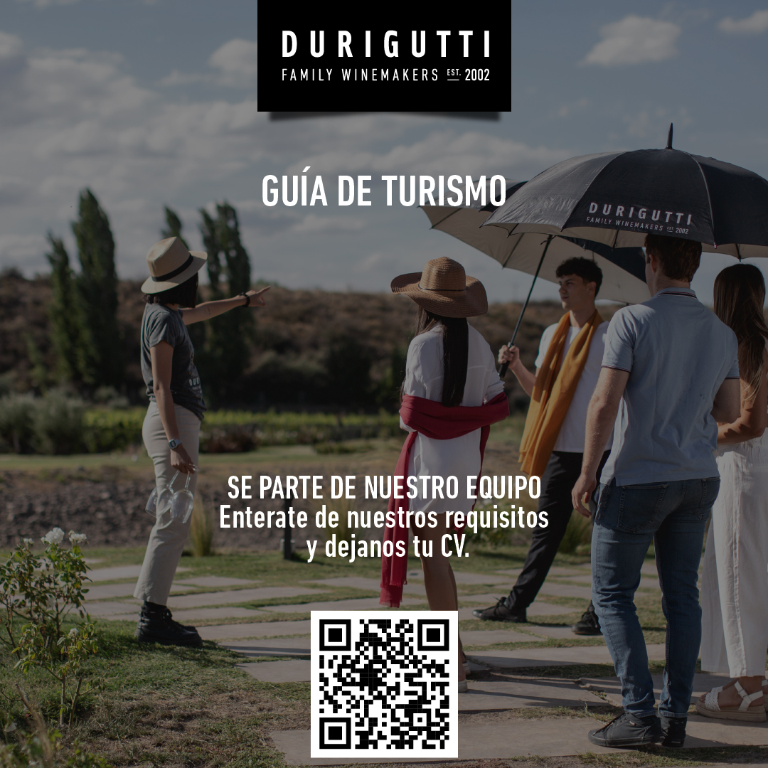 busqueda guia turismo