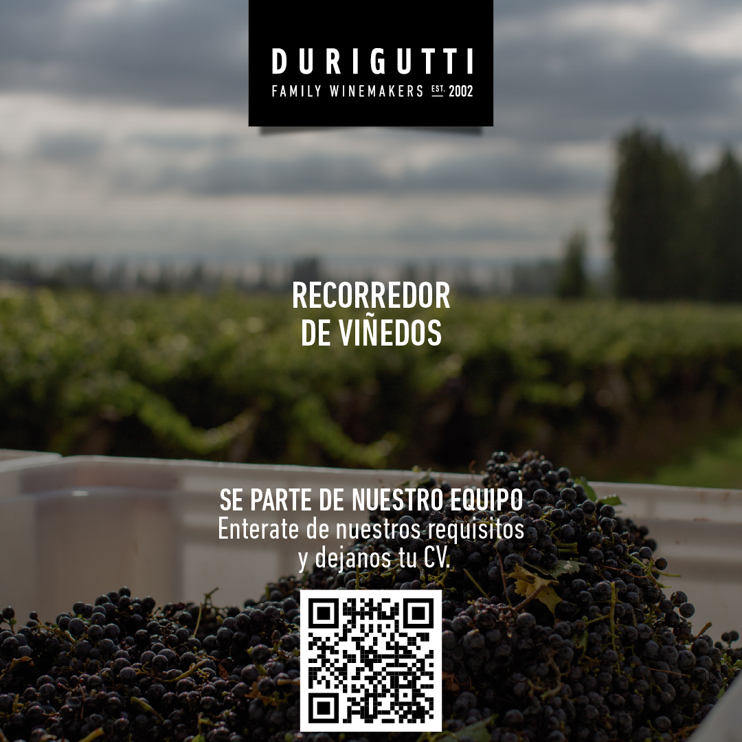 busqueda recorredor viñedos