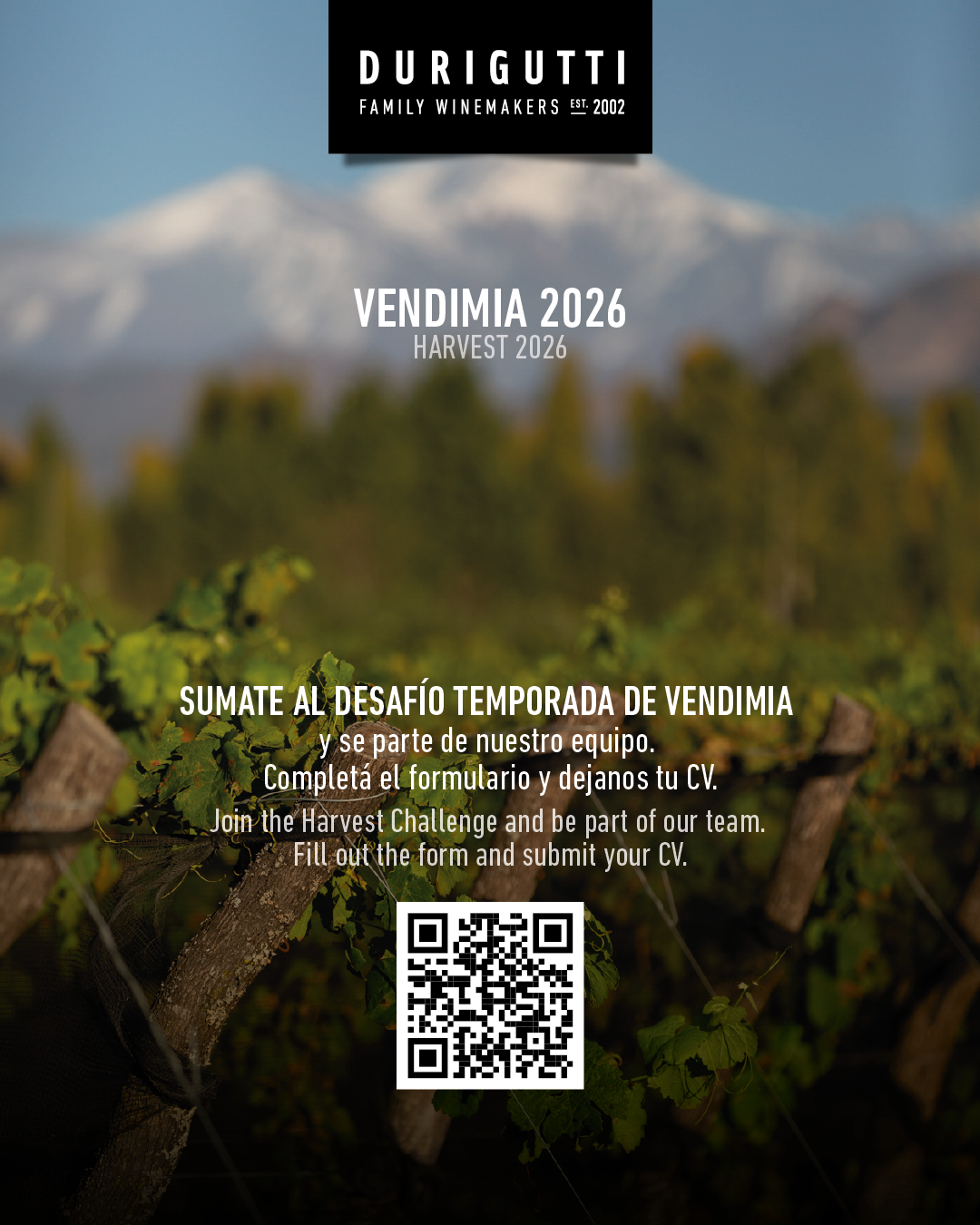 busqueda vendimia 2026