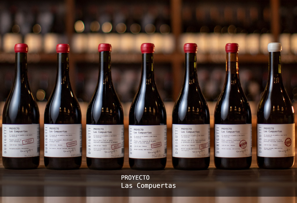 coleccion proyecto las compuertas