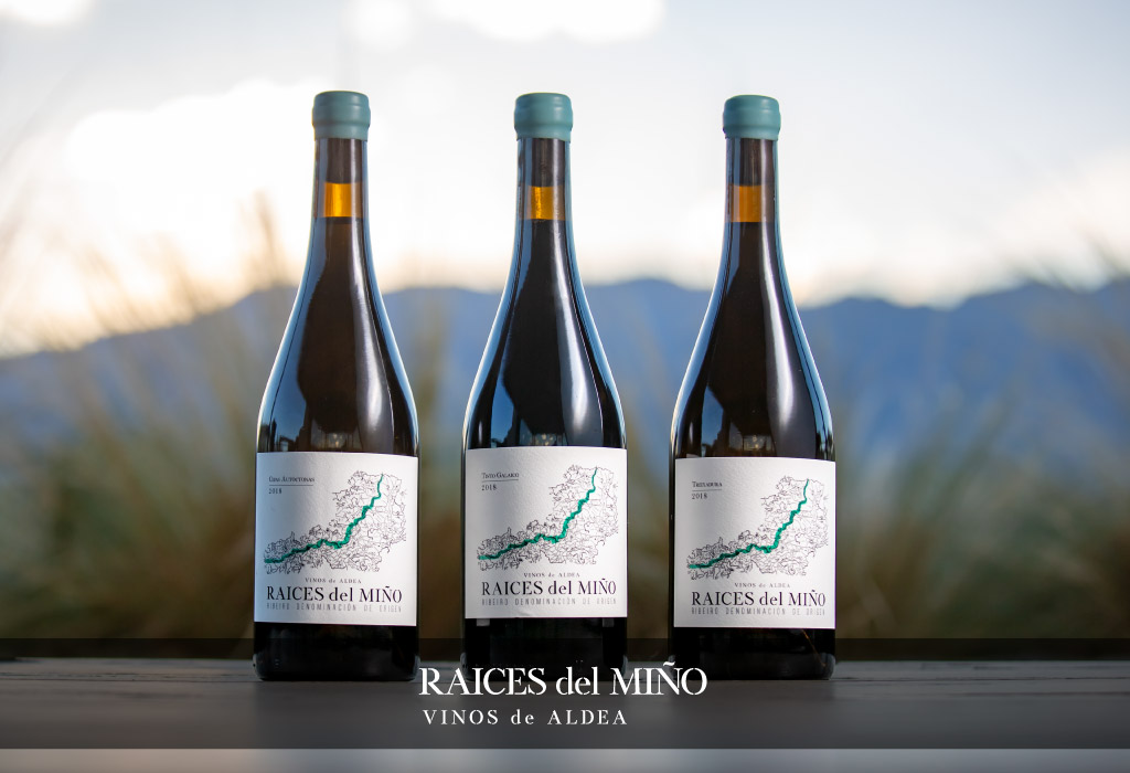 colección raíces del miño