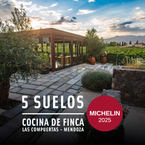5suelos michelin 2025