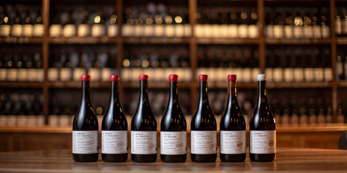 Bodega Durigutti nuestros vinos