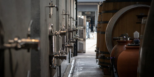 Bodega Durigutti vitivinicultura