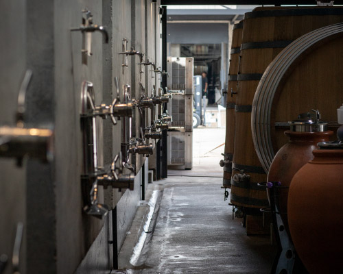 Bodega Durigutti vitivinicultura