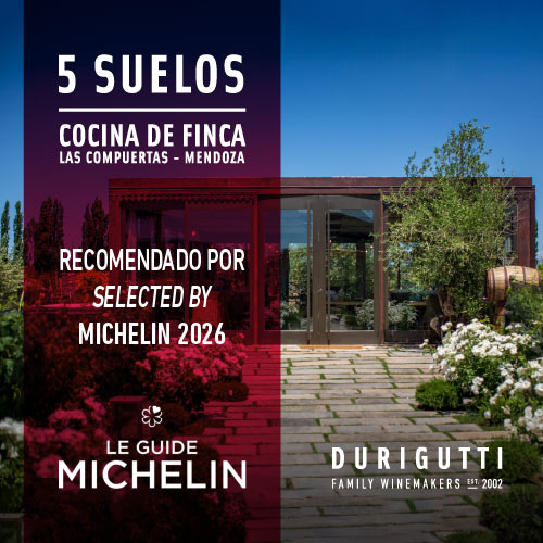 5 suelos recomendado michelin 2026
